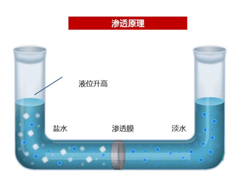 反渗透纯水设备